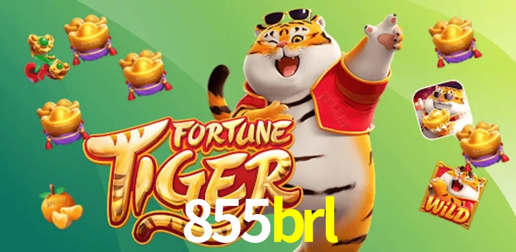 Football Betting 855brl